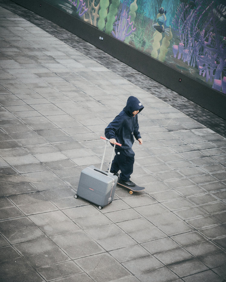 RAWROW x STAPLE  R Trunk Frame 84L - Bag | Staple Pigeon